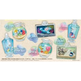 AQUA BOTTLE Collection2 煌めく海辺の思い出