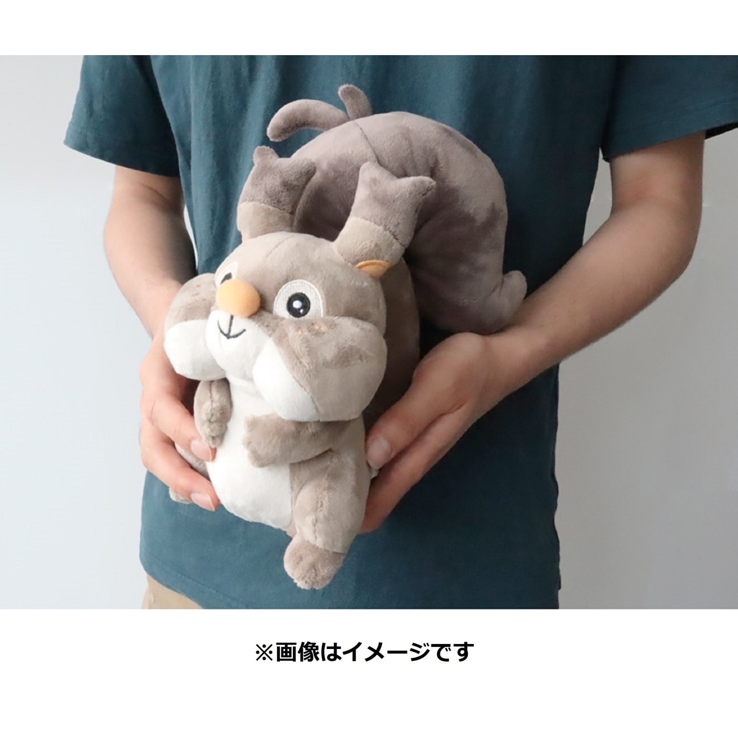 ぬいぐるみ ホシガリス