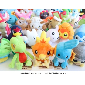 330 ぬいぐるみ Pokémon fit フライゴン
