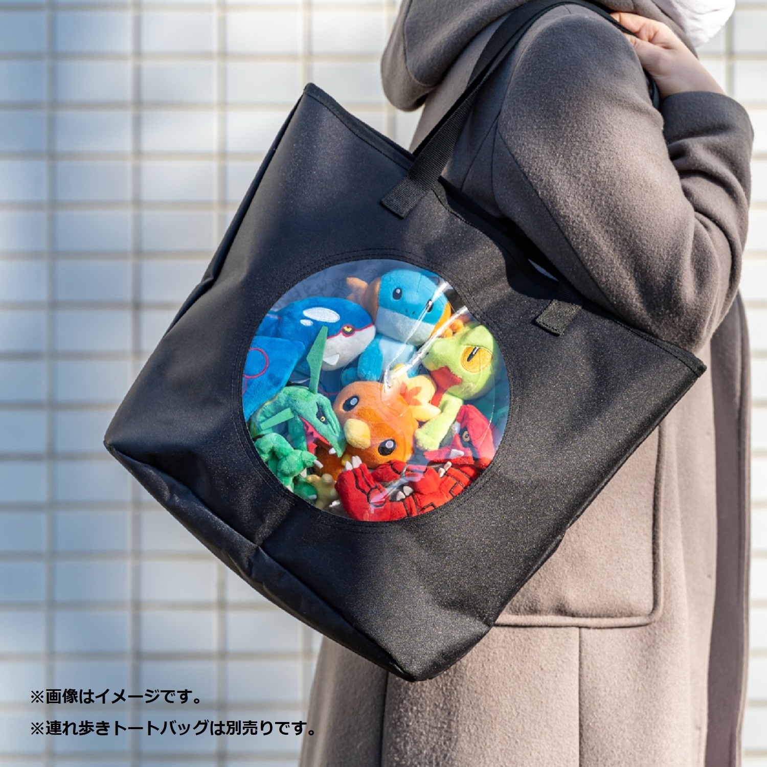 384 ぬいぐるみ Pokémon fit レックウザ