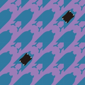 SARASA Pok&eacute;mon Shirts ポケモンのゴルバットの柄