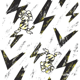 SARASA Pokémon Shirts ポケモンのエレブーの柄