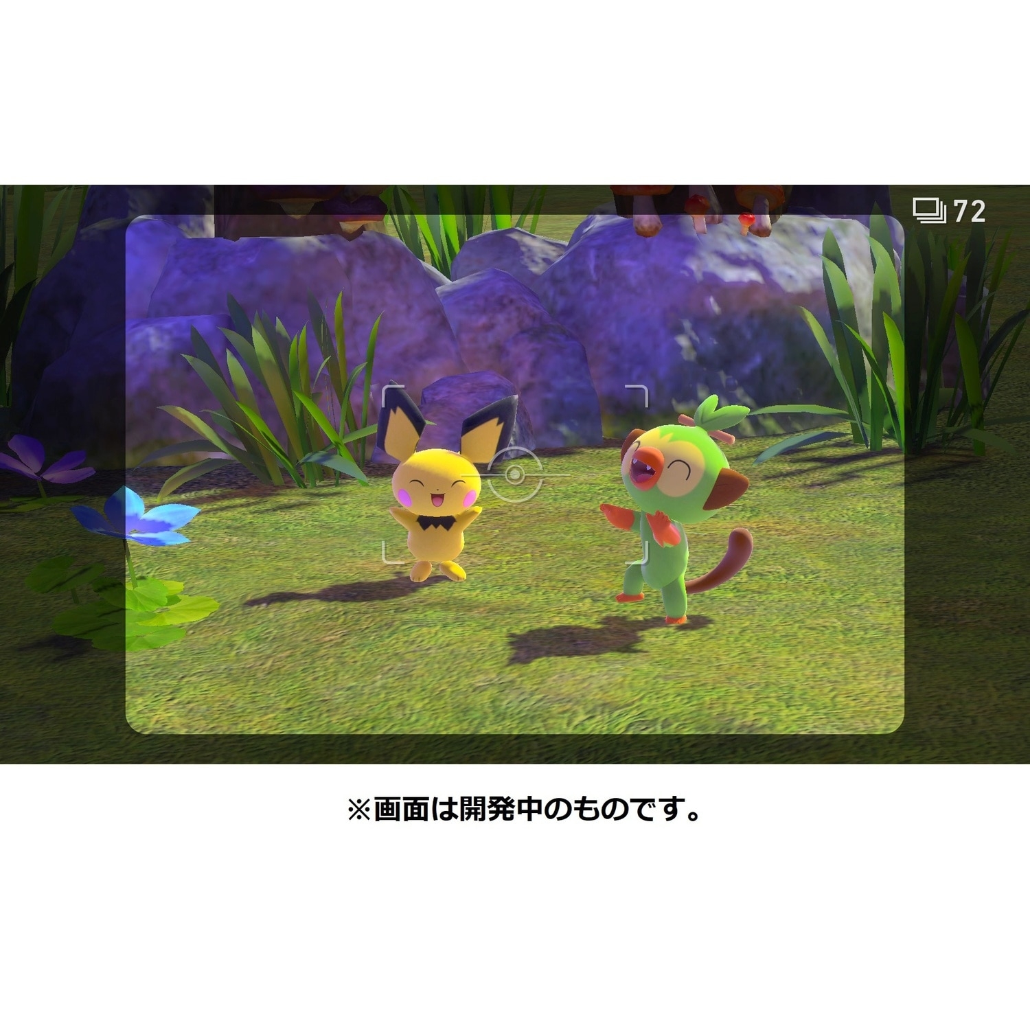 『New ポケモンスナップ』