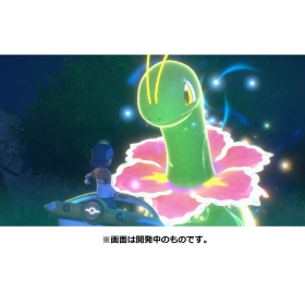『New ポケモンスナップ』