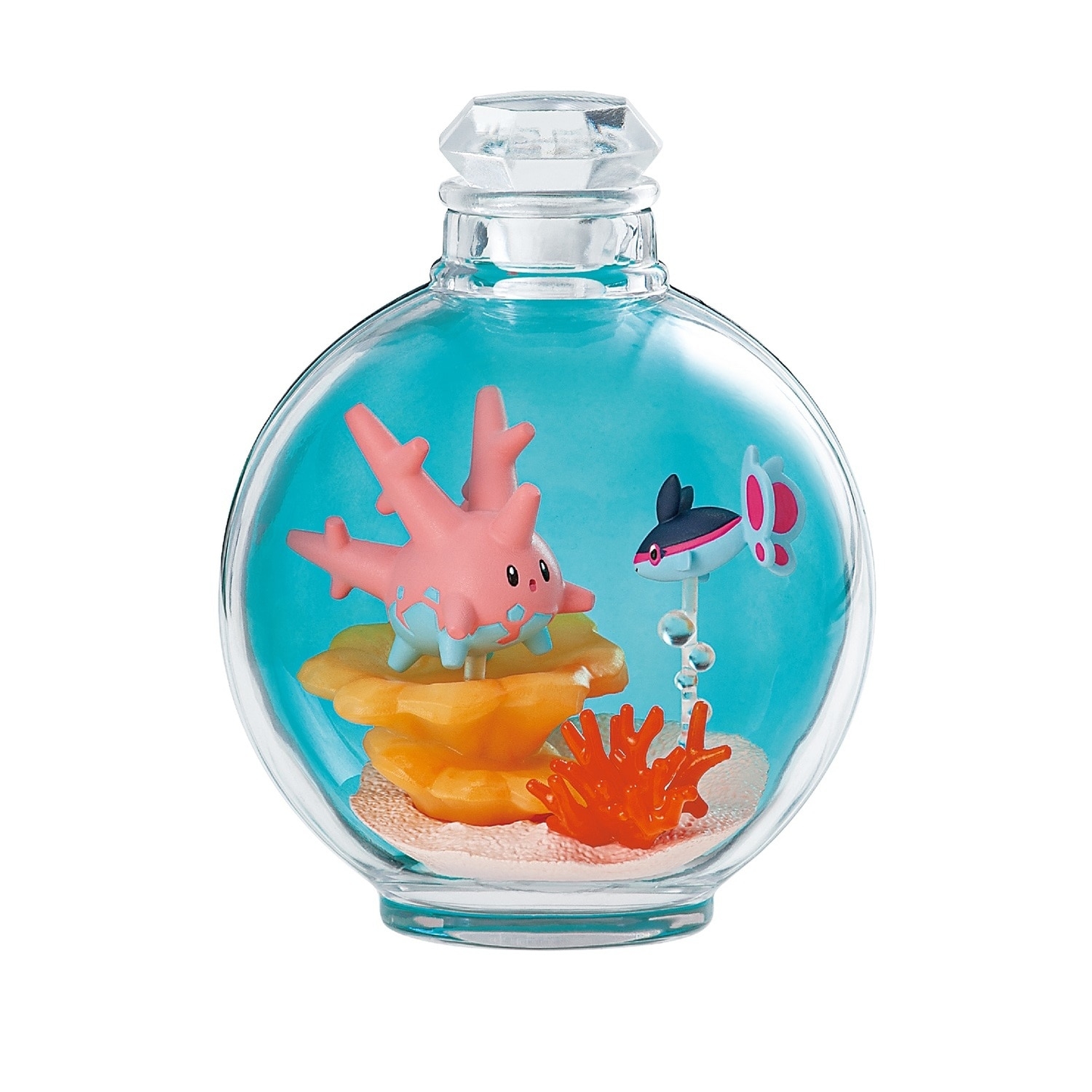 AQUA BOTTLE　かがやく水辺のめぐりあい BOX