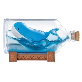AQUA BOTTLE かがやく水辺のめぐりあい BOX ｜【公式】ポケモン