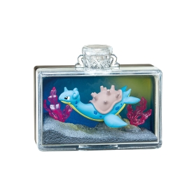 AQUA BOTTLE Collection2 煌めく海辺の思い出 BOX