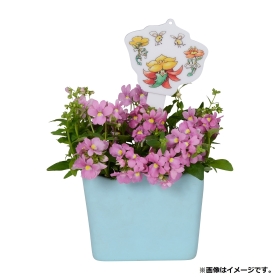 アクリルピックチャーム Pokémon Grassy Gardening ヒメンカ