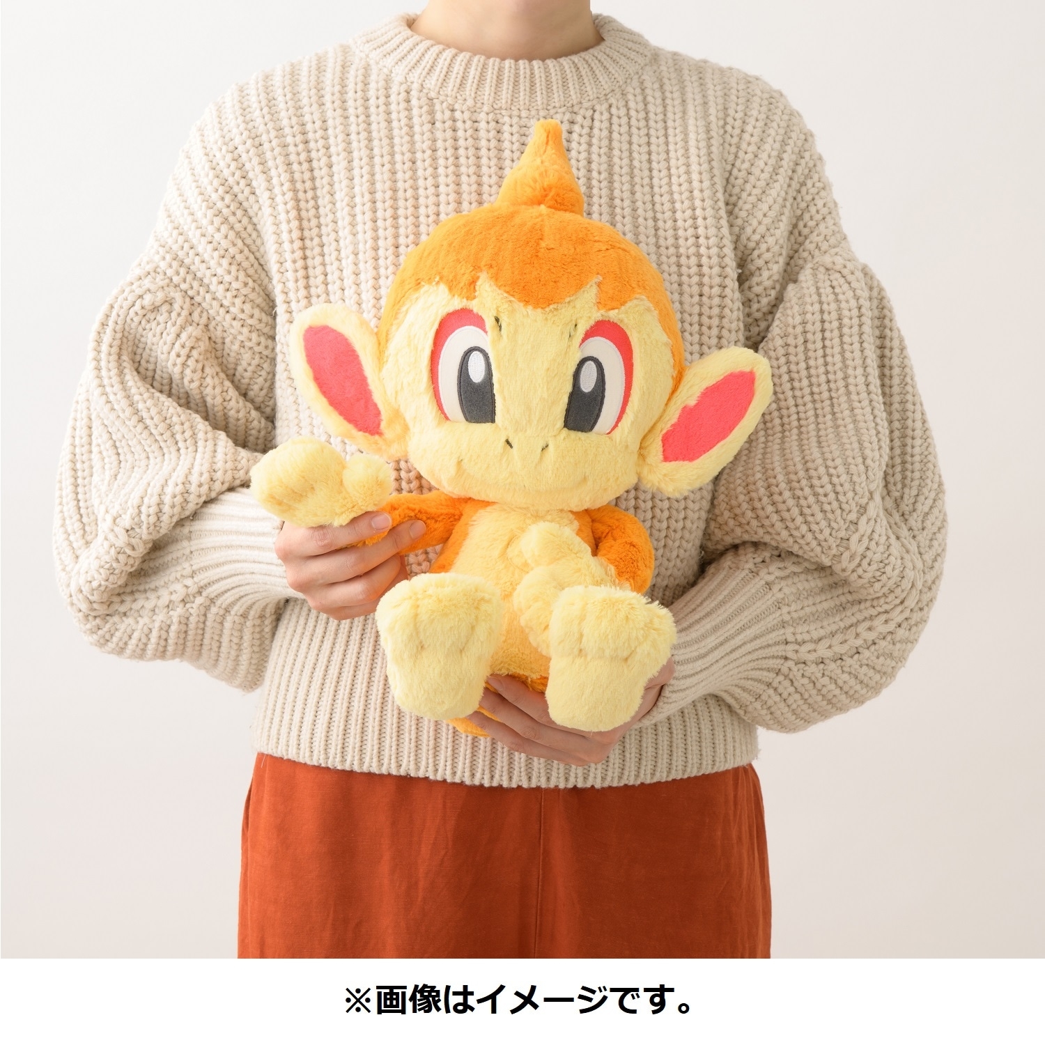 ぬいぐるみ ヒコザル ｜【公式】ポケモンセンターオンライン