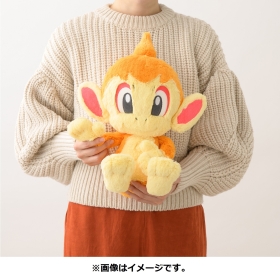 ふわふわ抱きぬいぐるみ ヒコザル