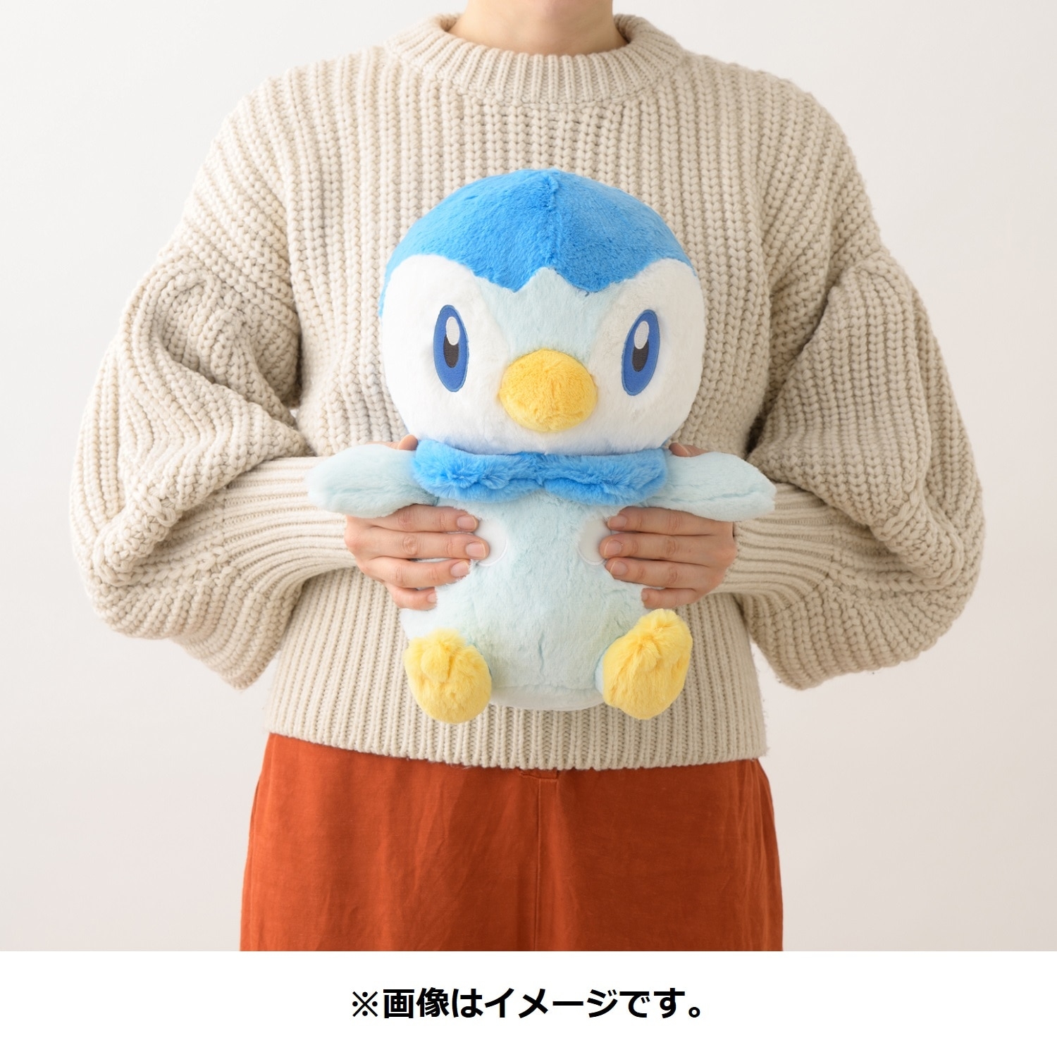 ふわふわ抱きぬいぐるみ ポッチャマ ｜【公式】ポケモンセンター
