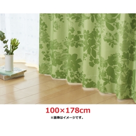 スミノエ 遮光カーテン イーブイズ 100×178cm 2枚入り