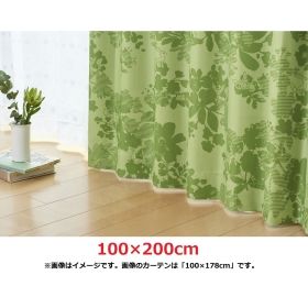 スミノエ 遮光カーテン イーブイズ 100×200cm 2枚入り