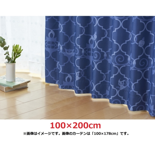 スミノエ 遮光カーテン ゴーストパターン 100×200cm 2枚入り