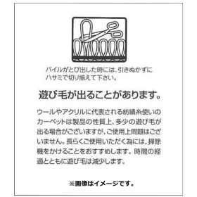 スミノエ マット パートナーポケモン