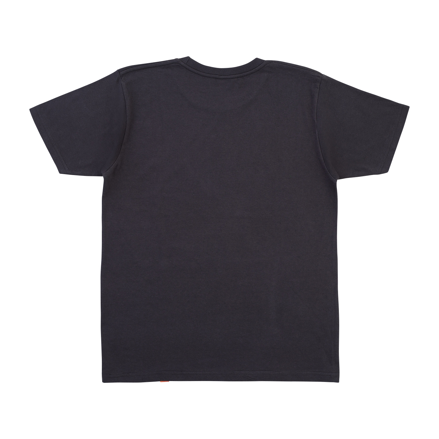 Tシャツ Pokémon and Tools SCALES ロゴ S／M／L／XL