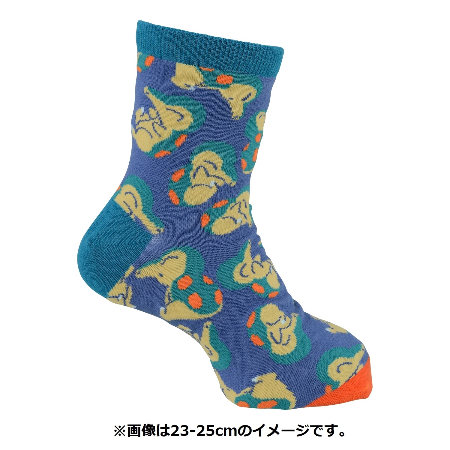 【選べる】ミドルソックス ヒノアラシ (23-25cm)
