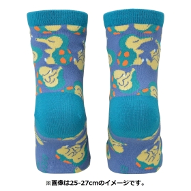 【選べる】ミドルソックス ヒノアラシ (23-25cm)