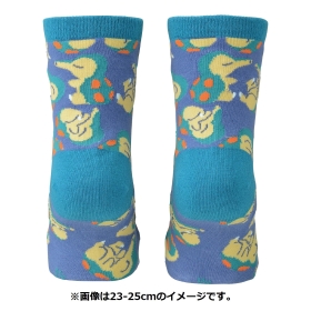 【選べる】ミドルソックス ヒノアラシ (23-25cm)