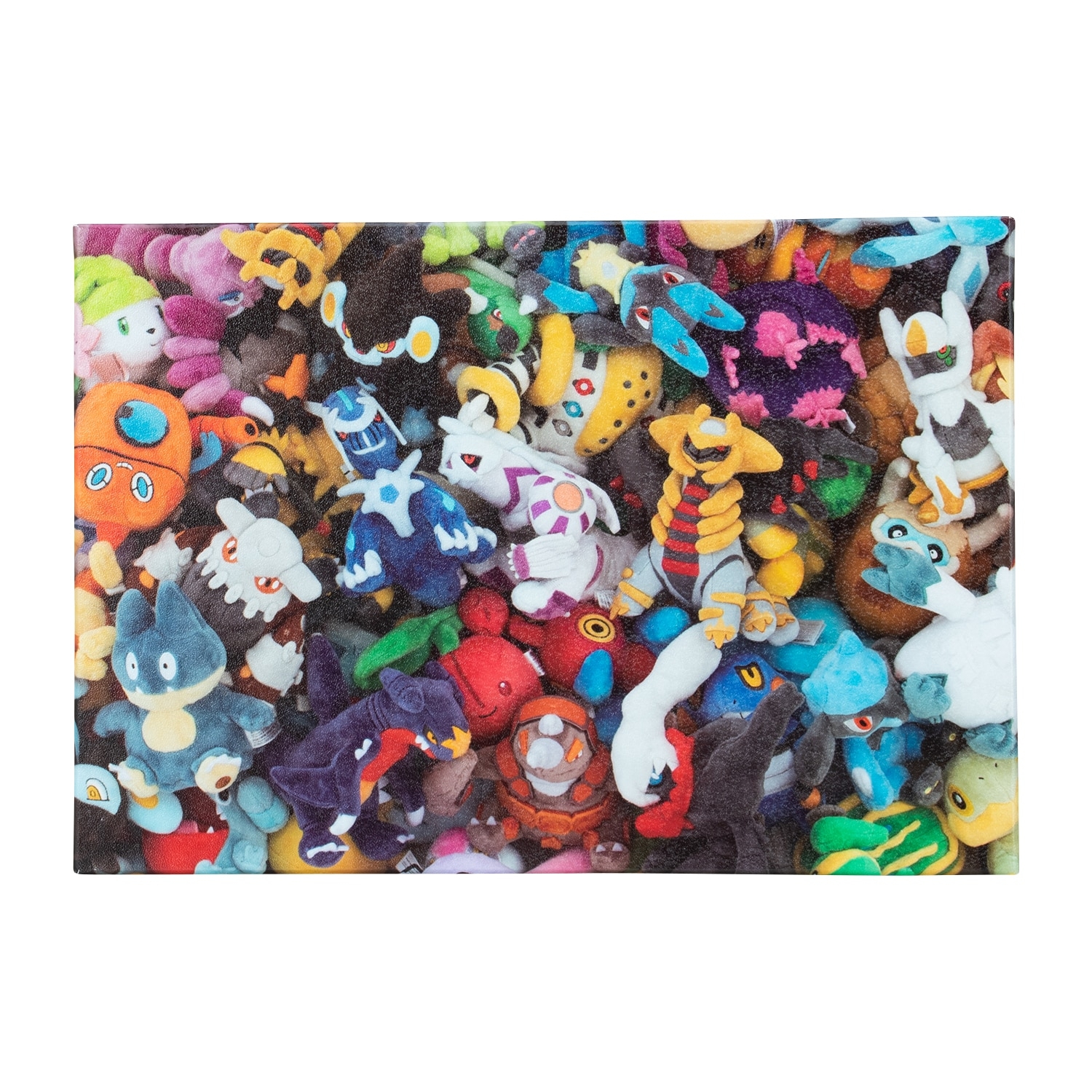 A4サイズお道具箱 Pokémon fit