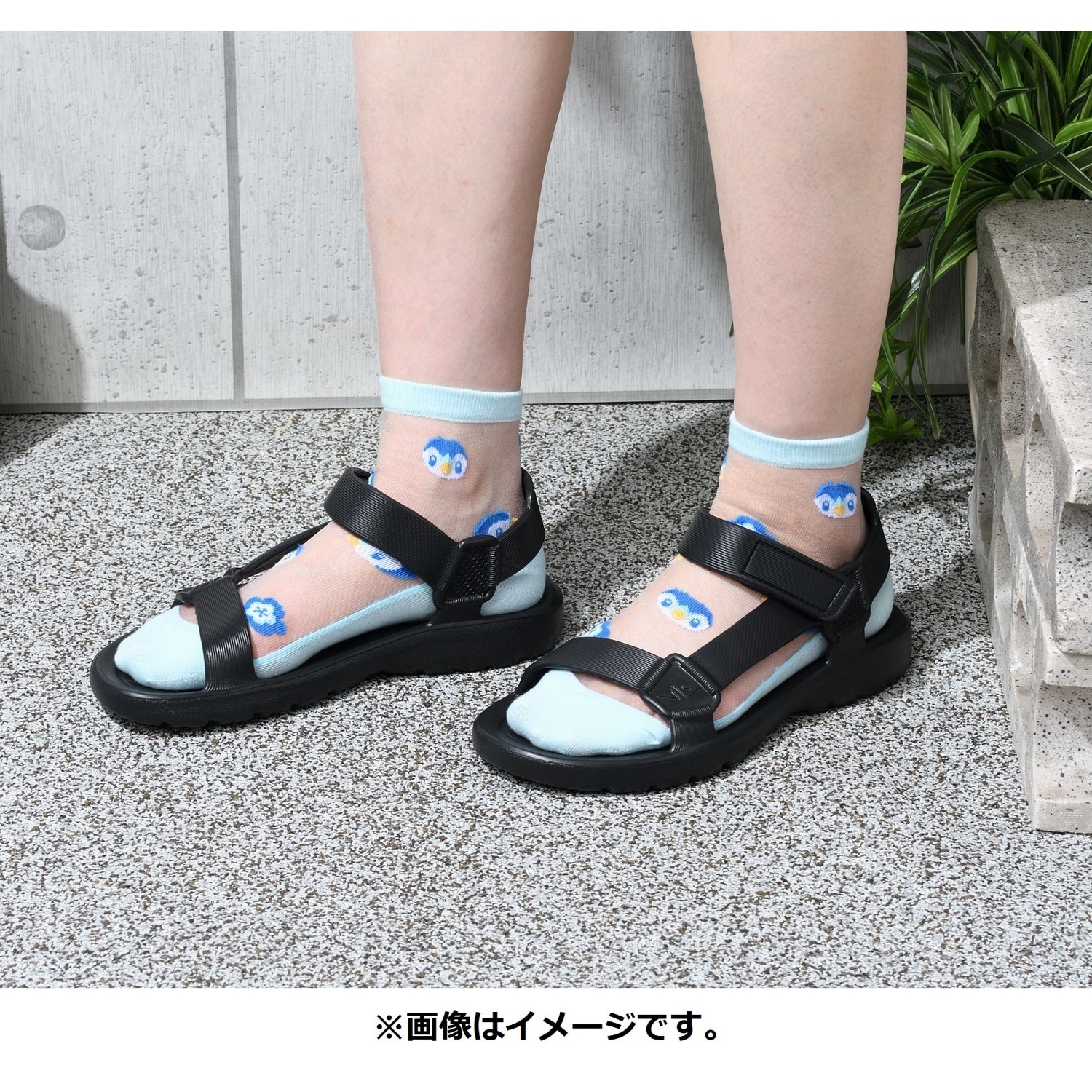 【選べる】ミドルソックス シースルー ポッチャマ (23-24cm)