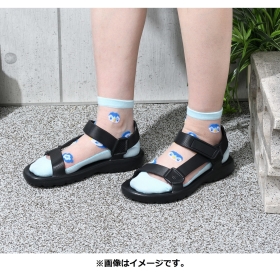 【選べる】ミドルソックス シースルー ポッチャマ (23-24cm)