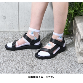 【選べる】ミドルソックス シースルー チルット (23-24cm)