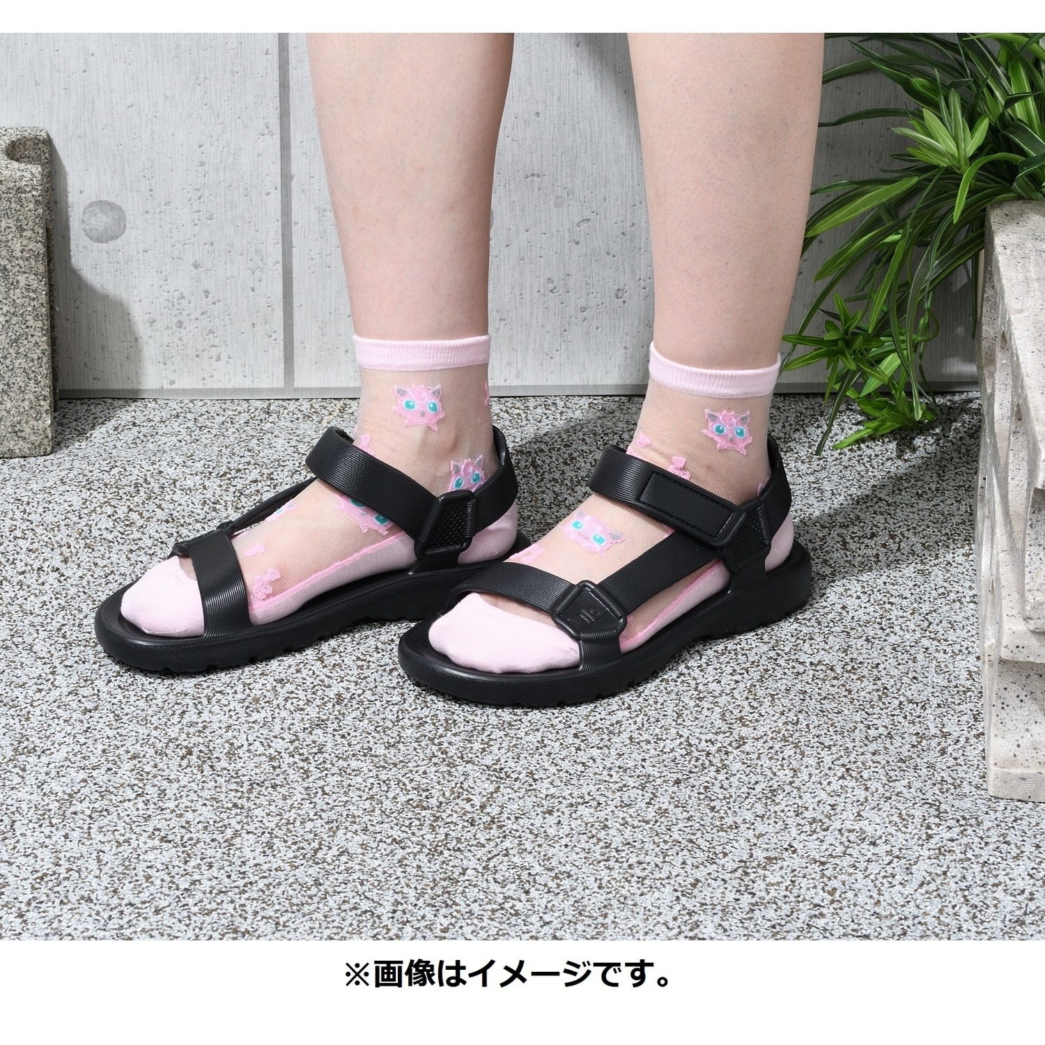 【選べる】ミドルソックス シースルー プリン (23-24cm)