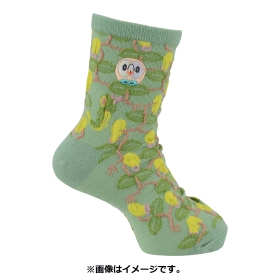 ミドルソックス モクロー (23-25cm)