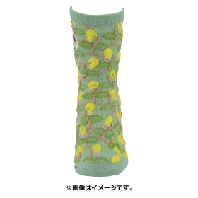 ミドルソックス モクロー (23-25cm)