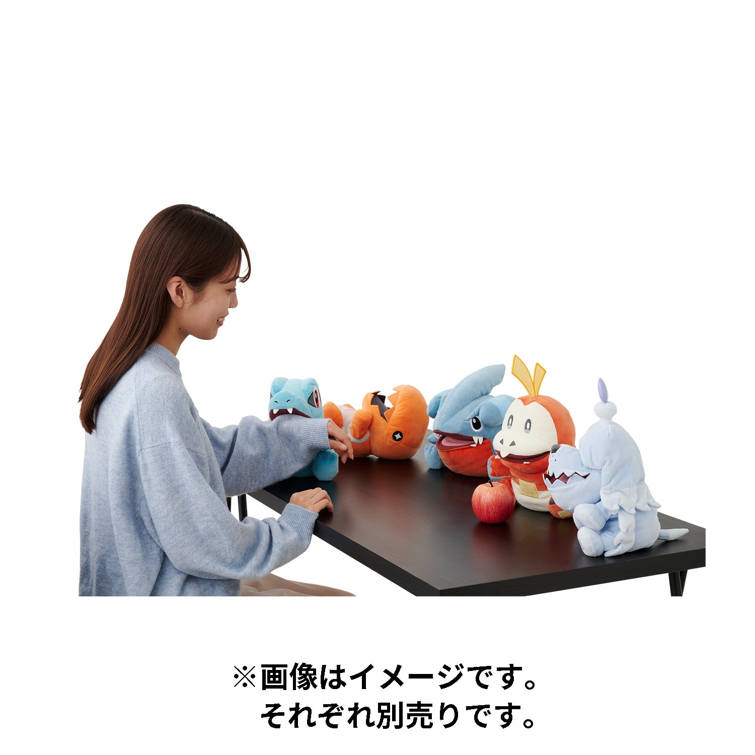 パペットぬいぐるみ かみつき隊 ホゲータ ｜【公式】ポケモン