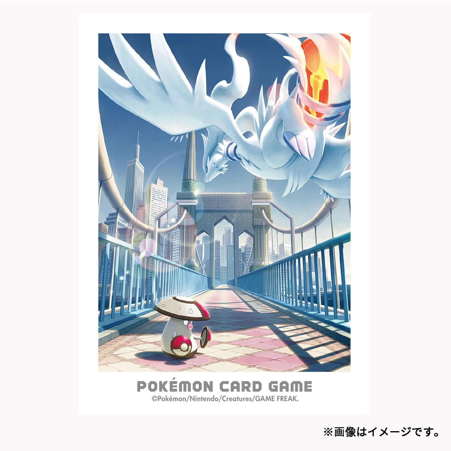 ポケモンカードゲーム デッキシールド イッシュの冒険 レシラム＆モロバレル