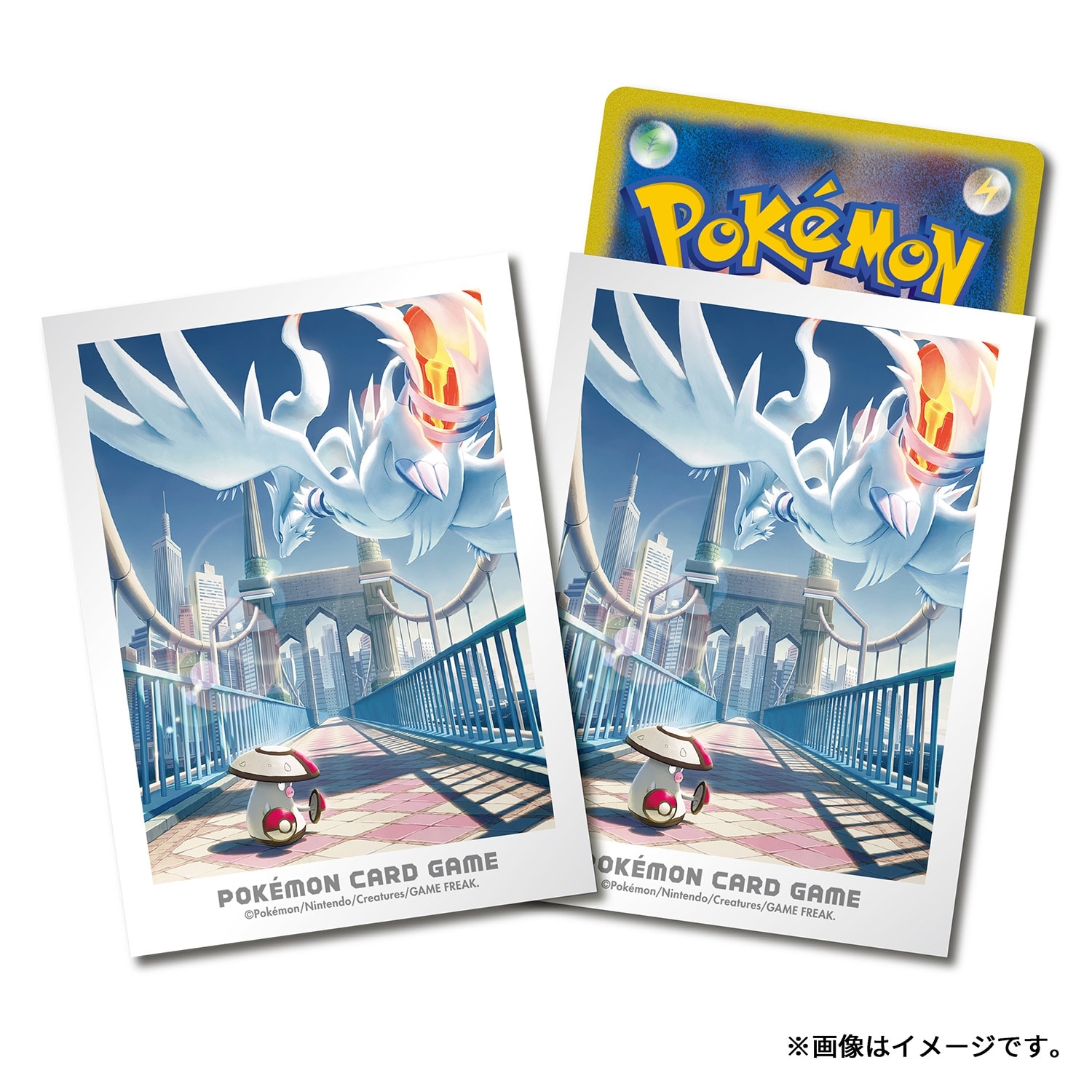 ポケモンカードゲーム デッキシールド イッシュの冒険 レシラム＆モロバレル