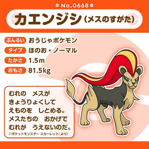 668 ぬいぐるみ Pokémon fit カエンジシ(メスのすがた)