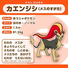 668 ぬいぐるみ Pokémon fit カエンジシ(メスのすがた)