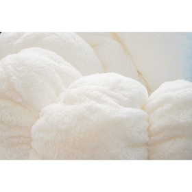 【抽選販売】ぬいぐるみ 等身大チルタリス