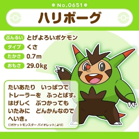 651 ぬいぐるみ Pokémon fit ハリボーグ