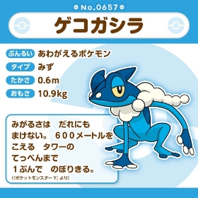 657 ぬいぐるみ Pokémon fit ゲコガシラ