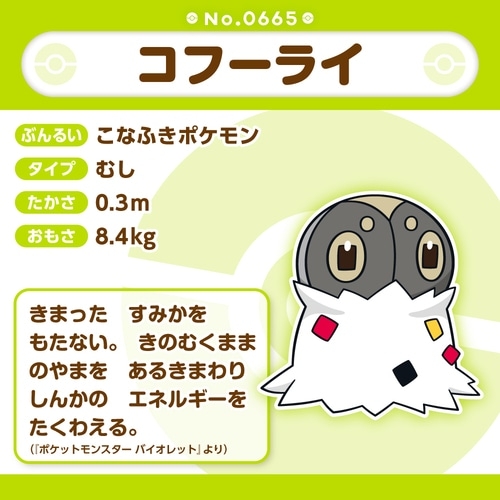 665 ぬいぐるみ Pokémon fit コフーライ