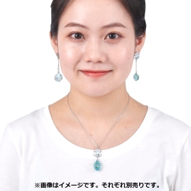 ピアス SHINKA NO ISHI アローラロコン&こおりのいし→アローラキュウコン