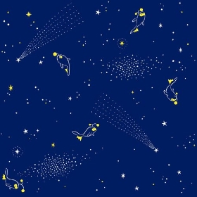 SARASA Pok&eacute;mon Shirts ポケモンのランターンの柄