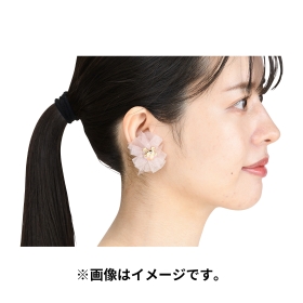 Pokémon accessory ピアス93 ヒラヒナ