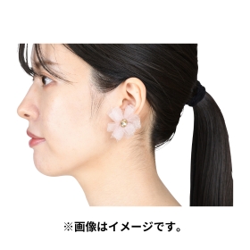 Pokémon accessory イヤリング85 ヒラヒナ