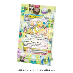 ポケモンカードゲーム ディスプレイフレーム ドラゴンフレンズ