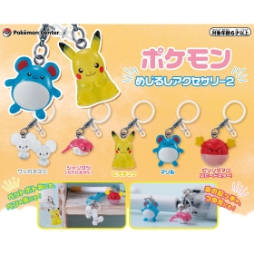 ポケモン めじるしアクセサリー2