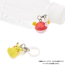 ポケモン めじるしアクセサリー2