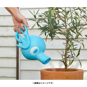 タッツーのじょうろ ポケモンコンシェルジュ