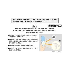 模様が浮かぶミラーチャーム Invisible to Me ラティアス