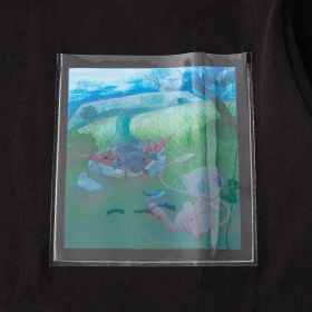 Tシャツ Invisible to Me ドラパルト M