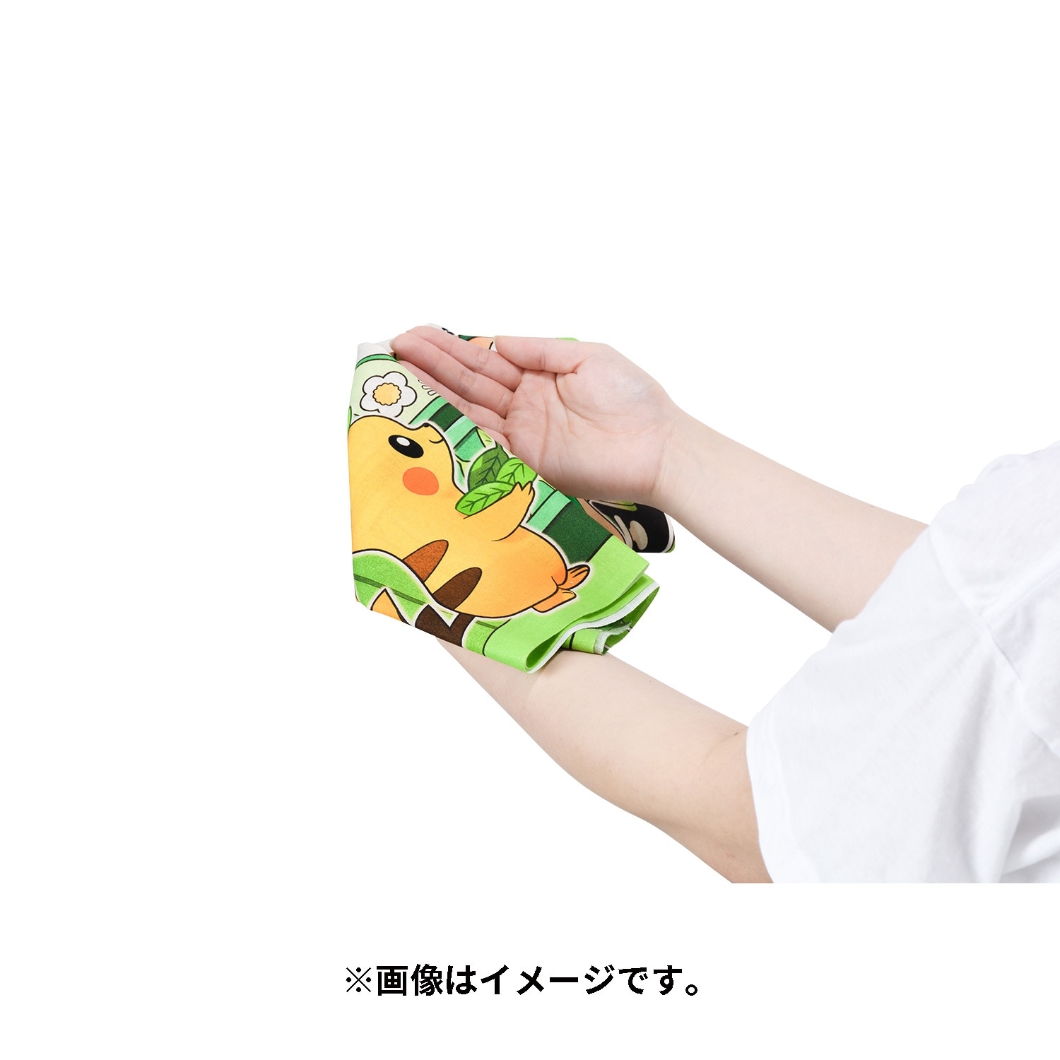 てぬぐい 喫茶チャデス